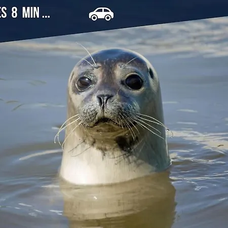 La Petite Ferienhaus