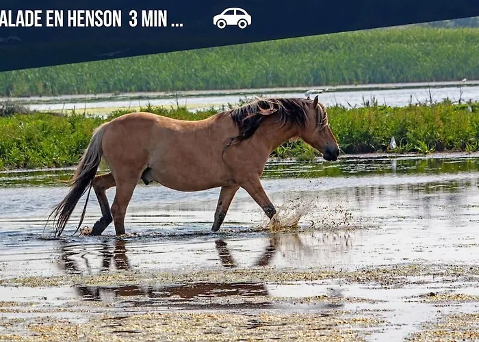 La Petite Cabane-piste Cyclable-5min De La Holiday home Le Crotoy